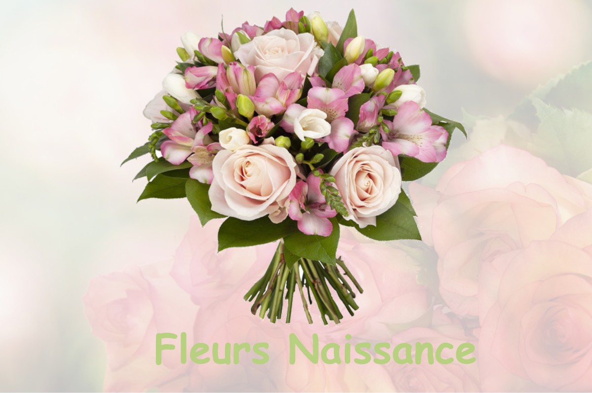 fleurs naissance MONTIGNY-LE-FRANC